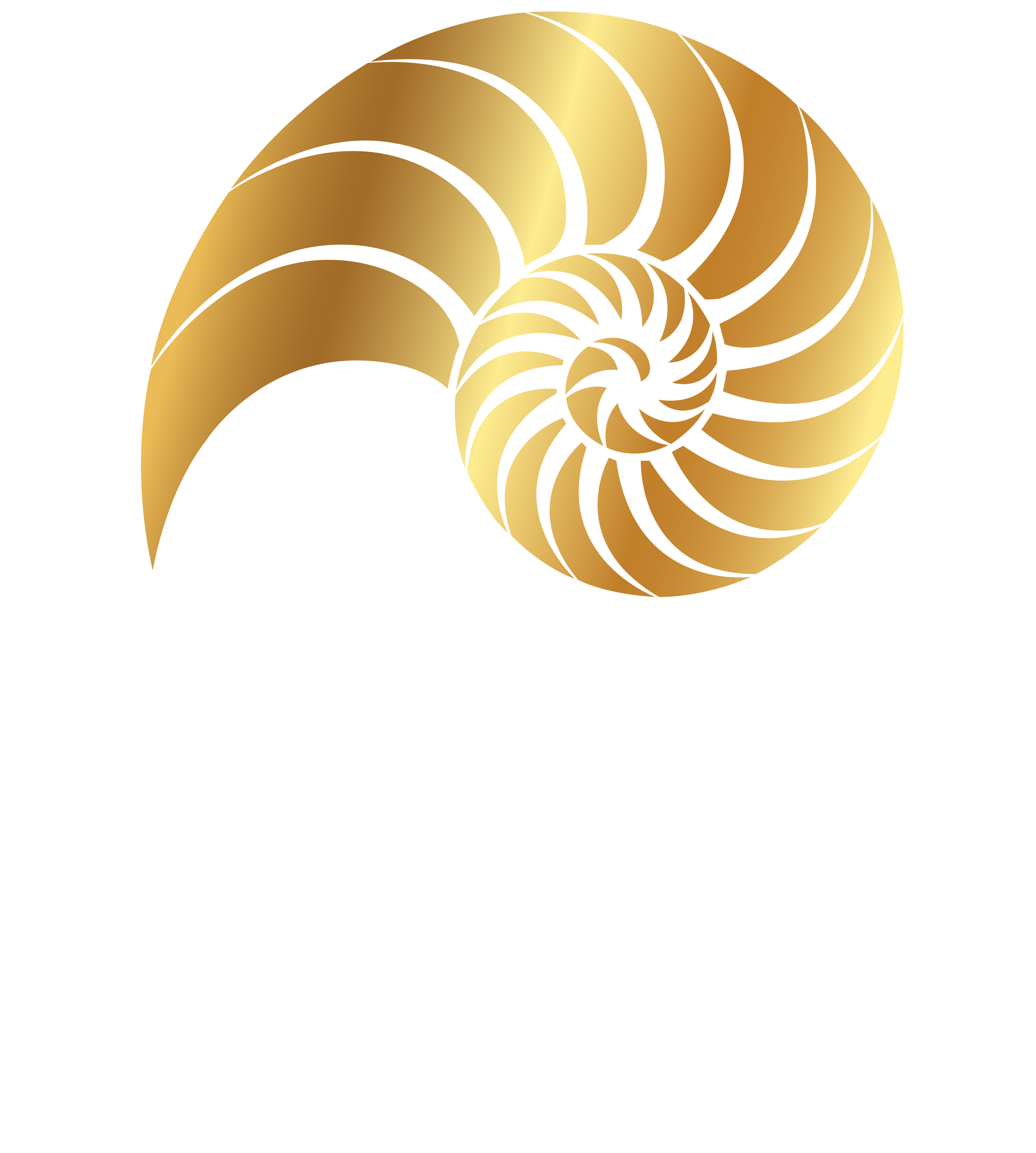 Nautilus Bar Anna Maria Island (2)